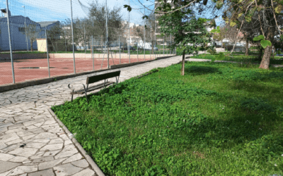 Pressupostos Participatius Roquetes 2024: Memòria valorada – Raval de Cristo