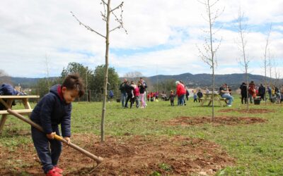 La Festa de l’Arbre més participativa amplia els punts d’ombra de la Vall del Marquès