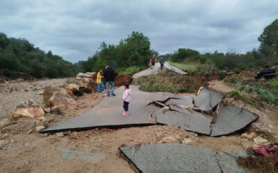 Ajuts per a les persones i empreses afectades per la DANA Alice