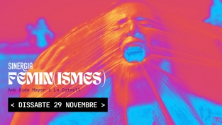 El 25N a Roquetes, amb l’obra Femin(ismes)