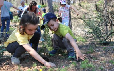Roquetes ajuda en la recuperació de la zona cremada per l’incendi a Xerta