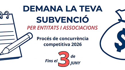 SUBVENCIÓ_portada